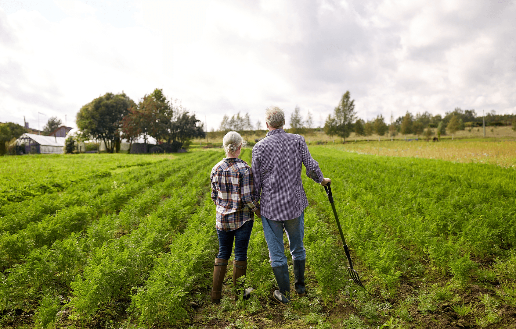 Old farmers couple looking at freen farm