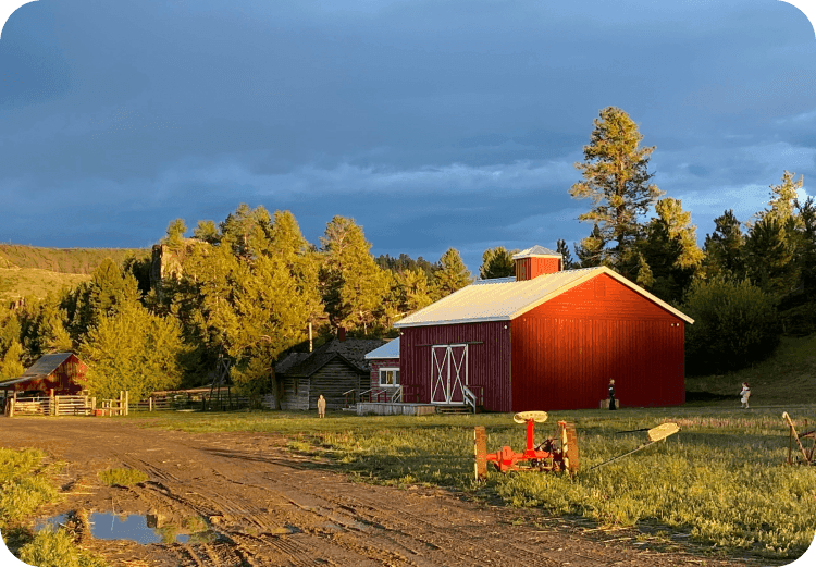 Happy farmer after getting farm loan approval from phone within few minutes 