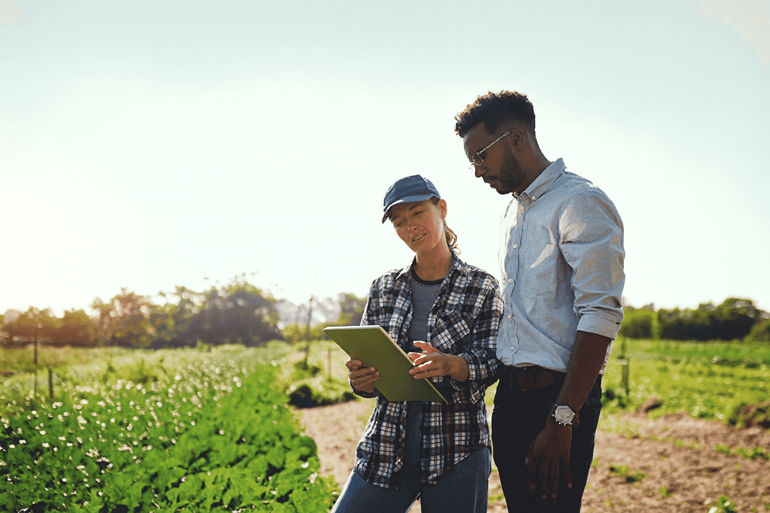 Farmer and advisor discussing farm debt consolidation strategy in farm