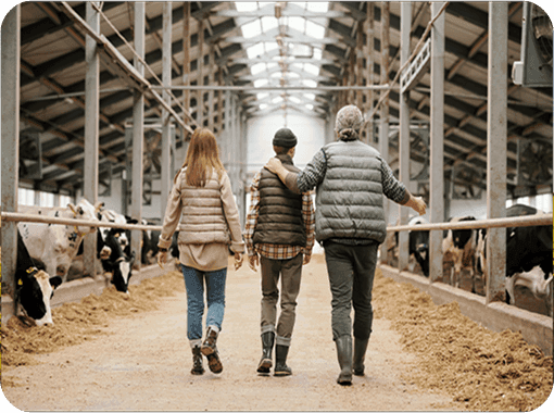 Family walking together inside a dairy barn